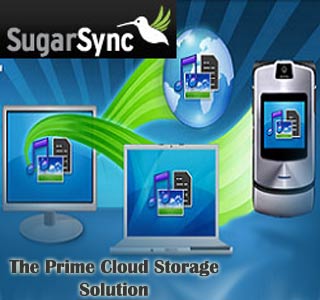 sugarsync, online storage