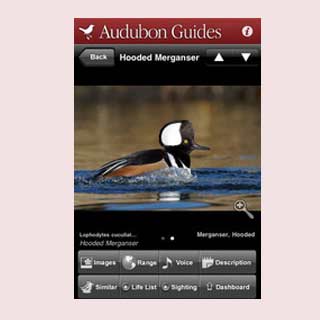 Audubon Guide iPhone App