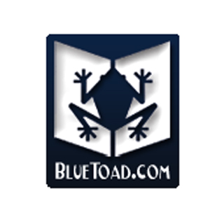 BlueToad Logo