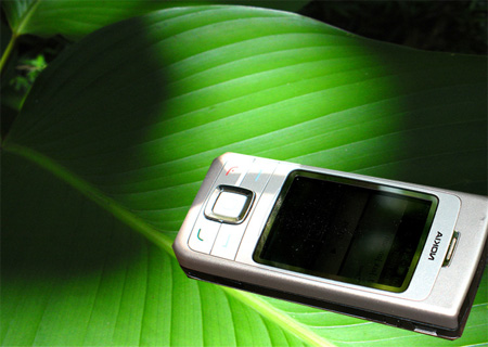 Nokia on Palm Leaf