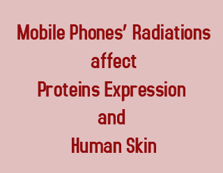 Mobile Phone Radiations affect Skin