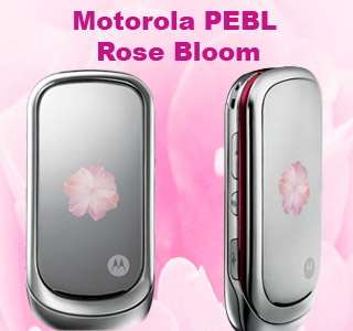 PEBL Rose Bloom phone 