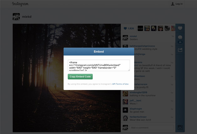 Instagram Embed