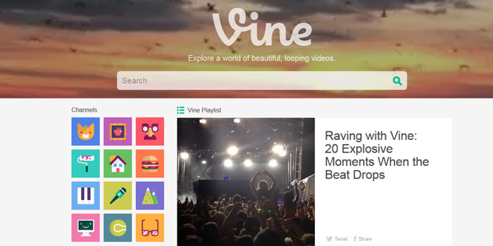 Vine Web App