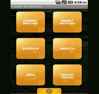 Cricket Companion App