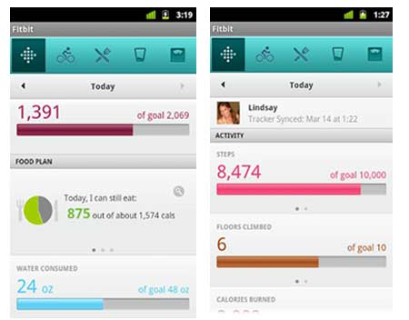 Fitbit For Android App 02