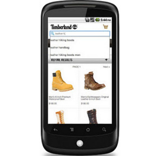 Google Commerce Mobile