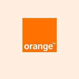 Orange Logo